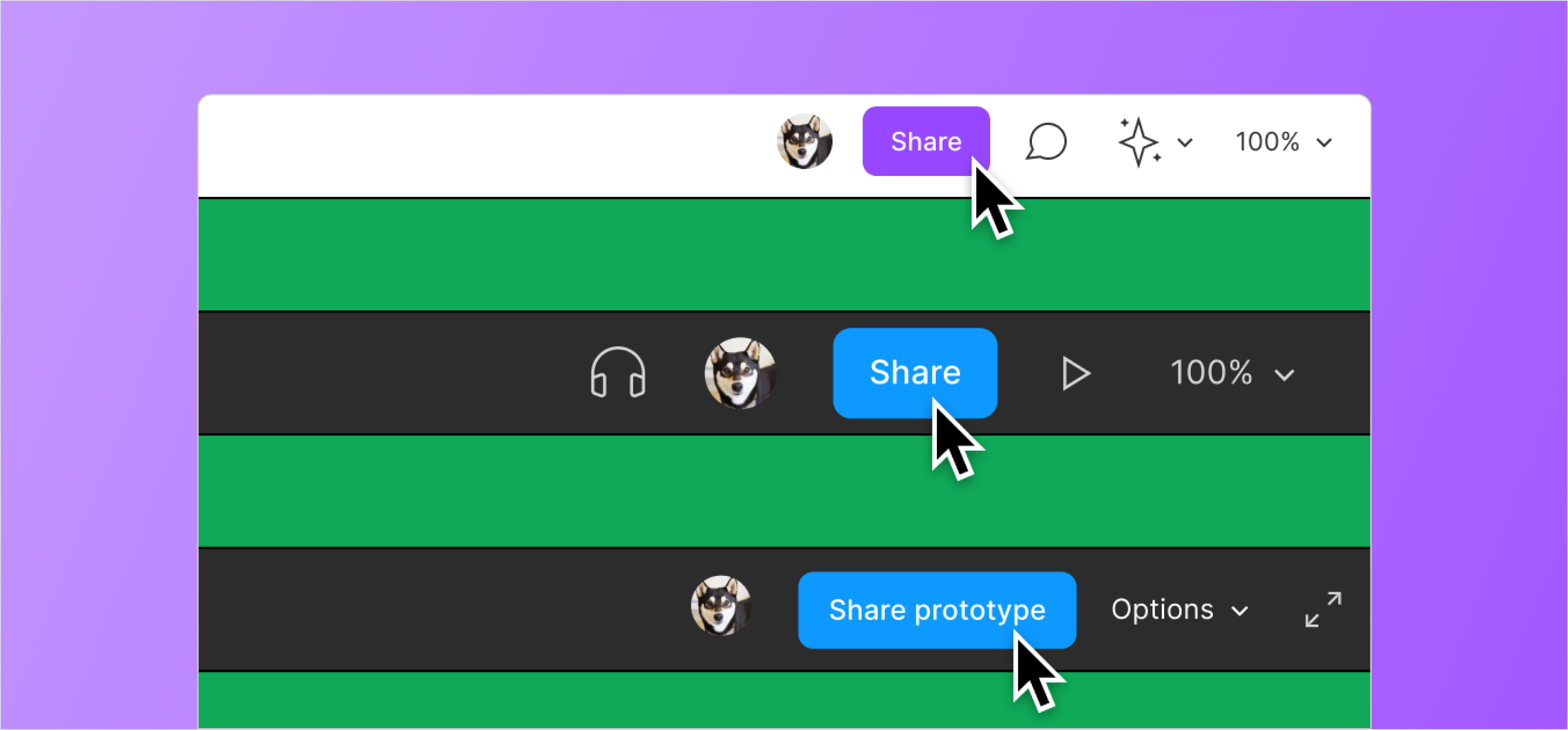 File Sharing and Permissions