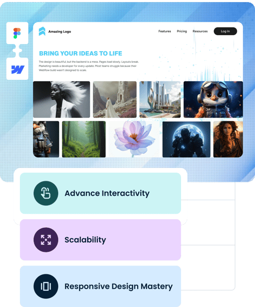Webflow Website Development
