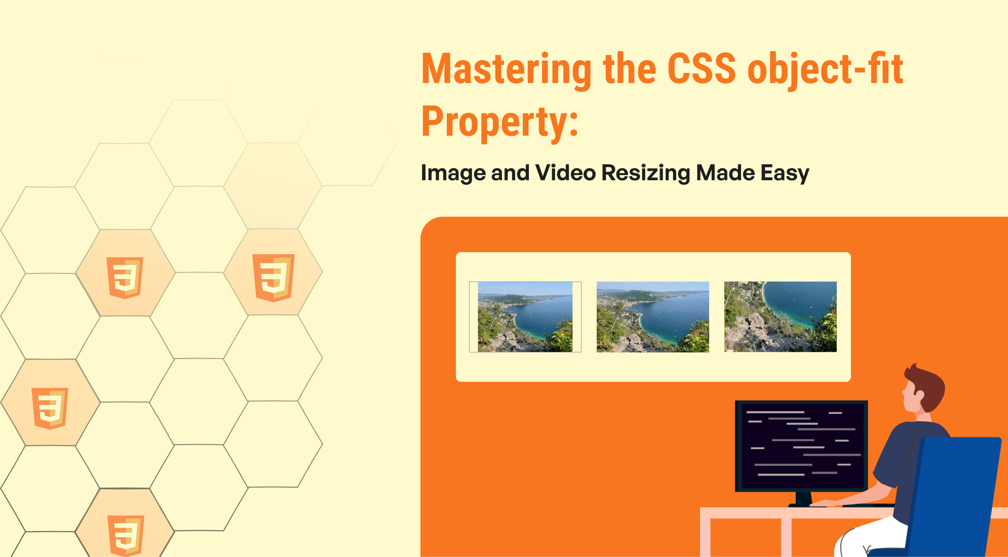 Mastering the CSS object-fit Property: Image and Video Resizing Made Easy